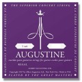 Augustine Regal-Gold